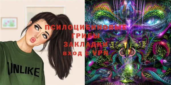 ALPHA-PVP Кодинск