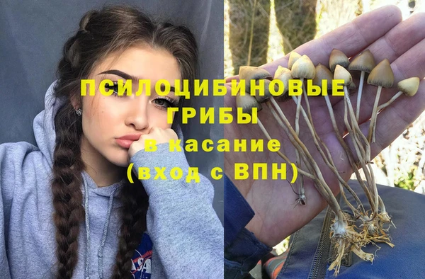ALPHA-PVP Кодинск