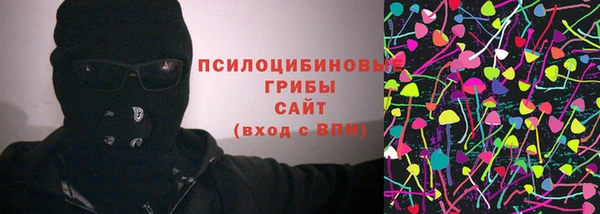 хмурый Козельск