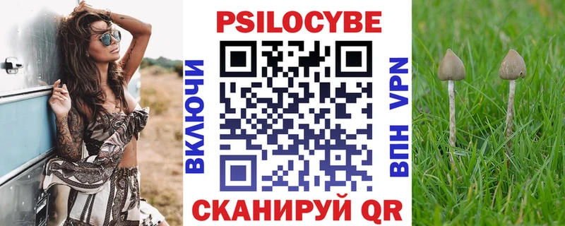 Псилоцибиновые грибы Psilocybine cubensis площадка состав Муром