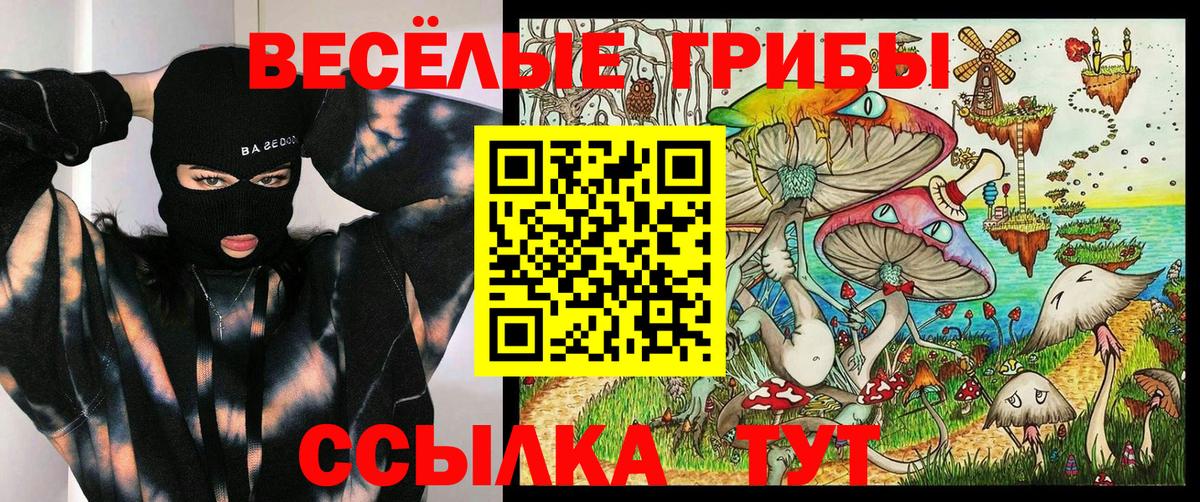 Галлюциногенные грибы GOLDEN TEACHER  Псилоцибиновые грибы Cubensis  Вход с VPN  Муром 